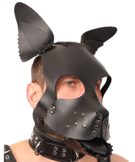 Red Leather Puppy Dog Mask Masks