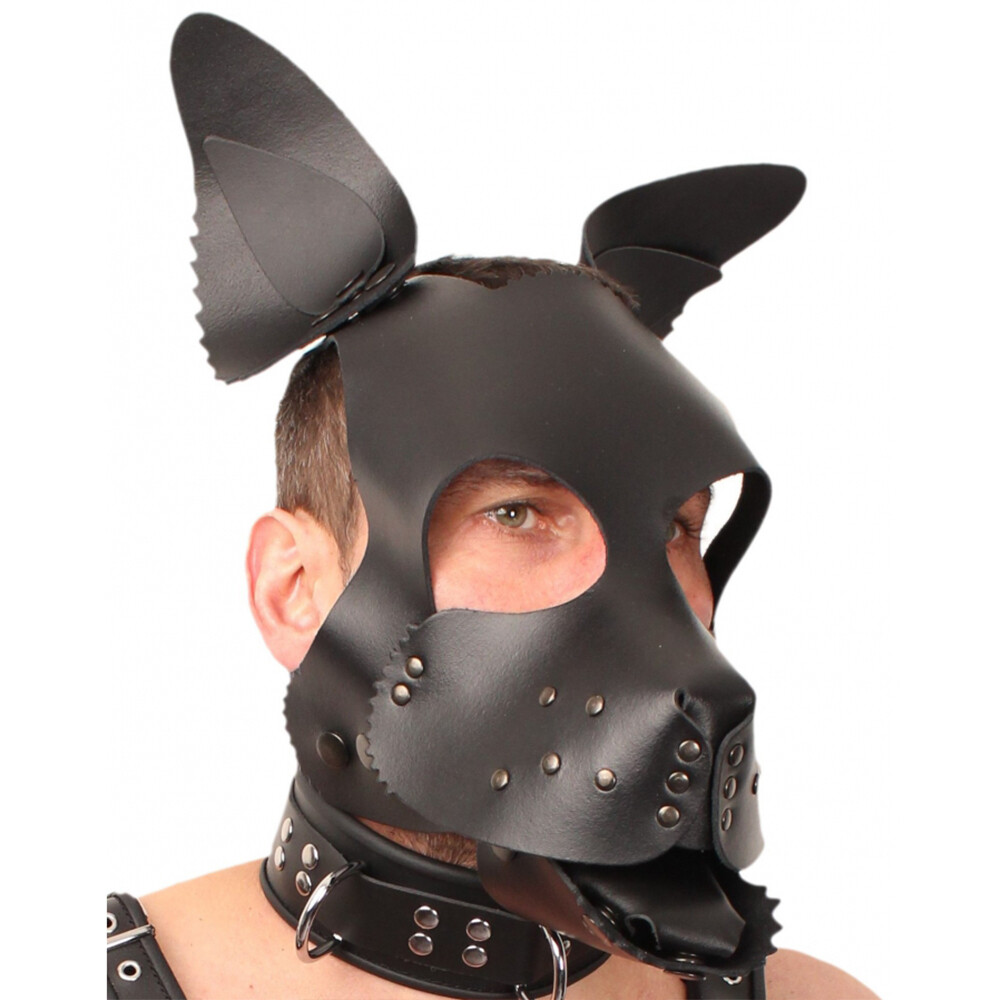Red Leather Puppy Dog Mask Masks