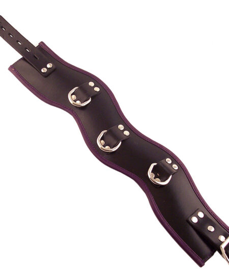 Rouge Garments Black And Purple Padded Posture Collar Collars