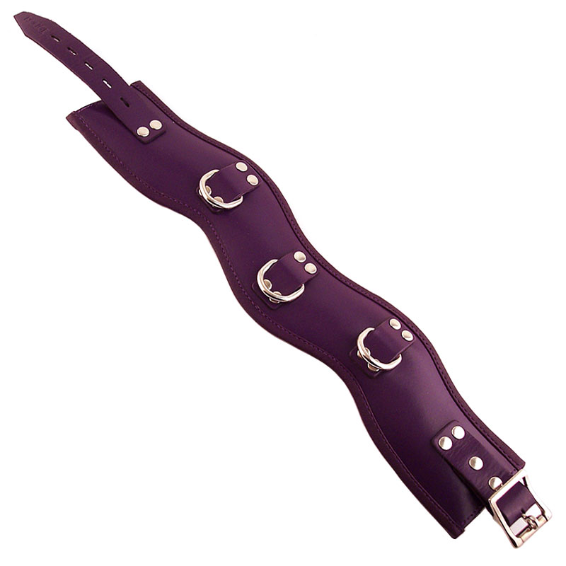 Rouge Garments Purple Padded Posture Collar Collars