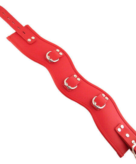 Rouge Garments Red Padded Posture Collar Collars